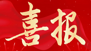 喜訊 | 新希望醫(yī)療被認定為西安市數(shù)字化轉(zhuǎn)型試點企業(yè)