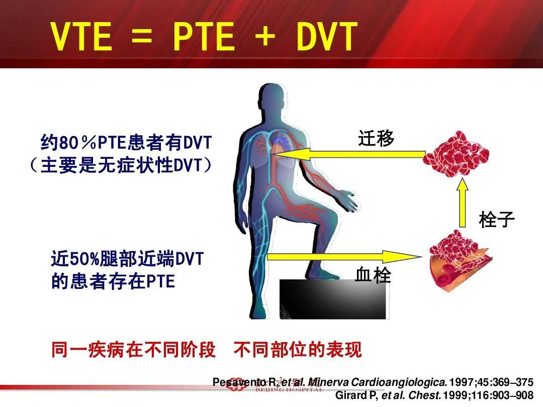 盤點那些為VTE代言的名人