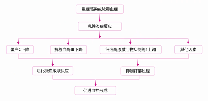 《COVID19合并VTE患者的流行病學(xué)特征及相關(guān)檢查方法》