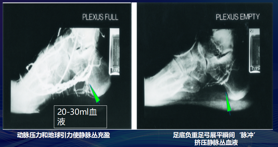 長(zhǎng)途旅行 快樂(lè)相伴 健康相隨