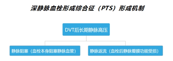 淺談深靜脈血栓后綜合征（PTS）